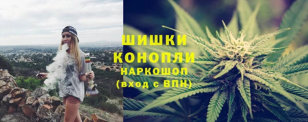 соль ск Вяземский